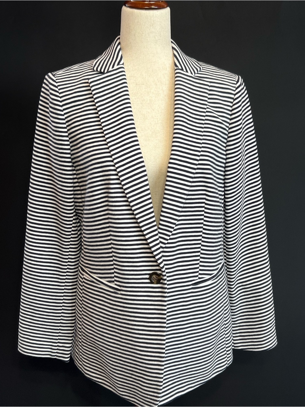 Ann Taylor Black and White Striped Blazer